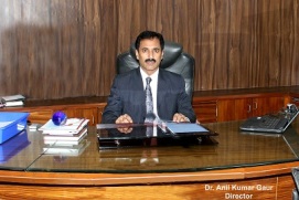 Director