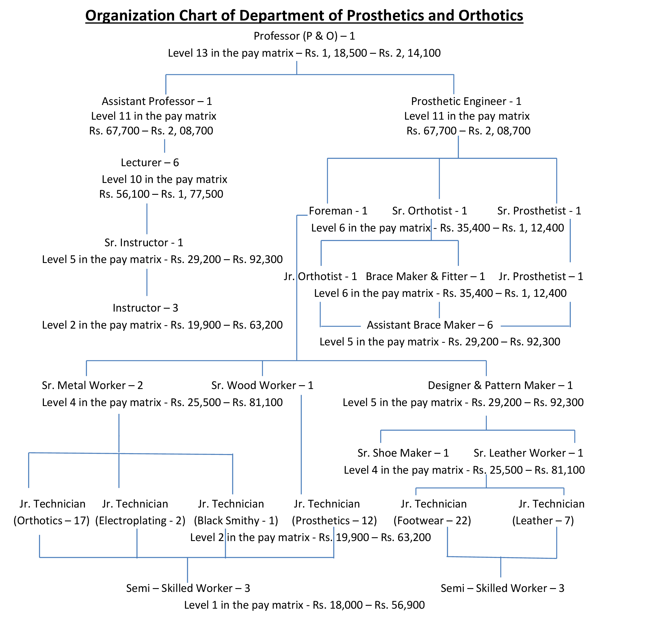 Organization Chart of Department of Prosthetics and Orthotics